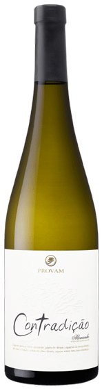 Alvarinho Provam Contradicción 2017