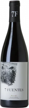 7 Fuentes 2021 - Bodega Suertes del Marqués