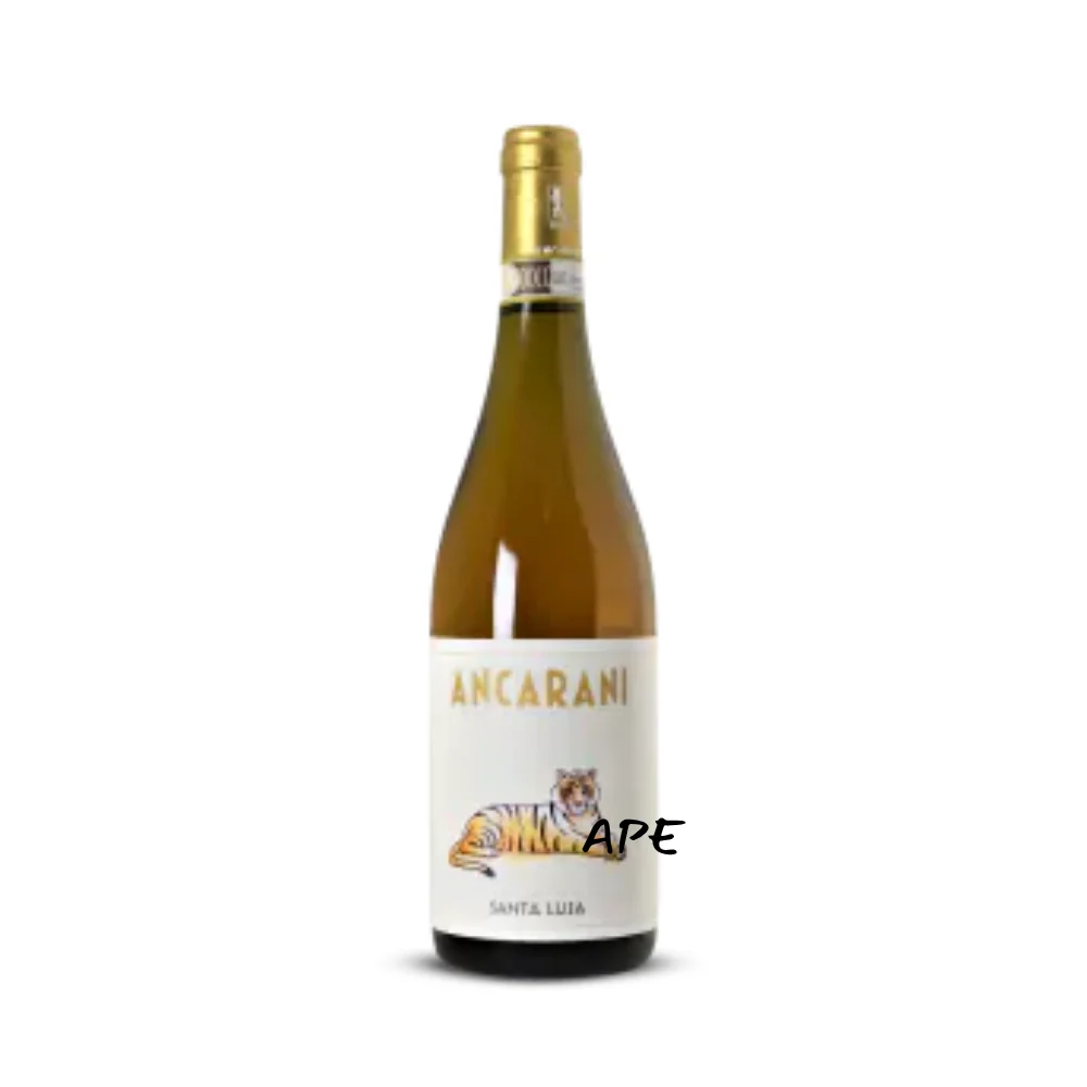 Santa Lusa 2022 Ancarani - Selecciones