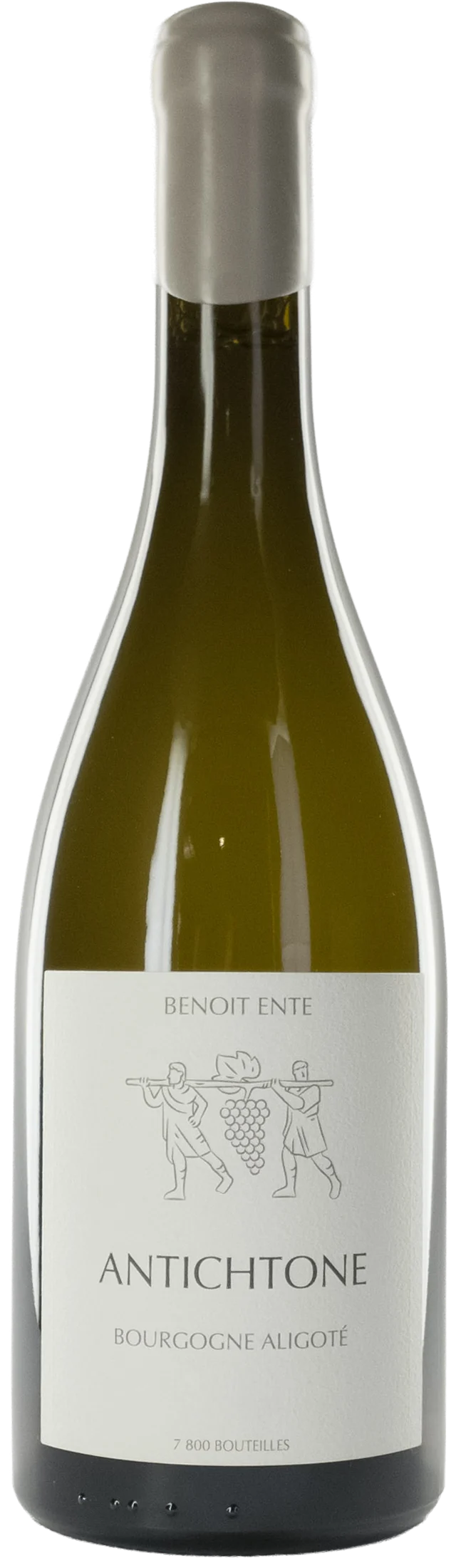 Domaine Benoit Ente - Bourgogne Aligoté Antichtone 2020 - Bourgogne Aligoté