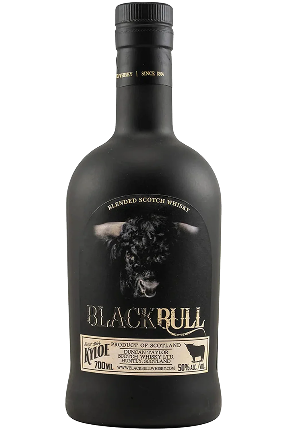 Kyloe Toro Negro - Black Bull