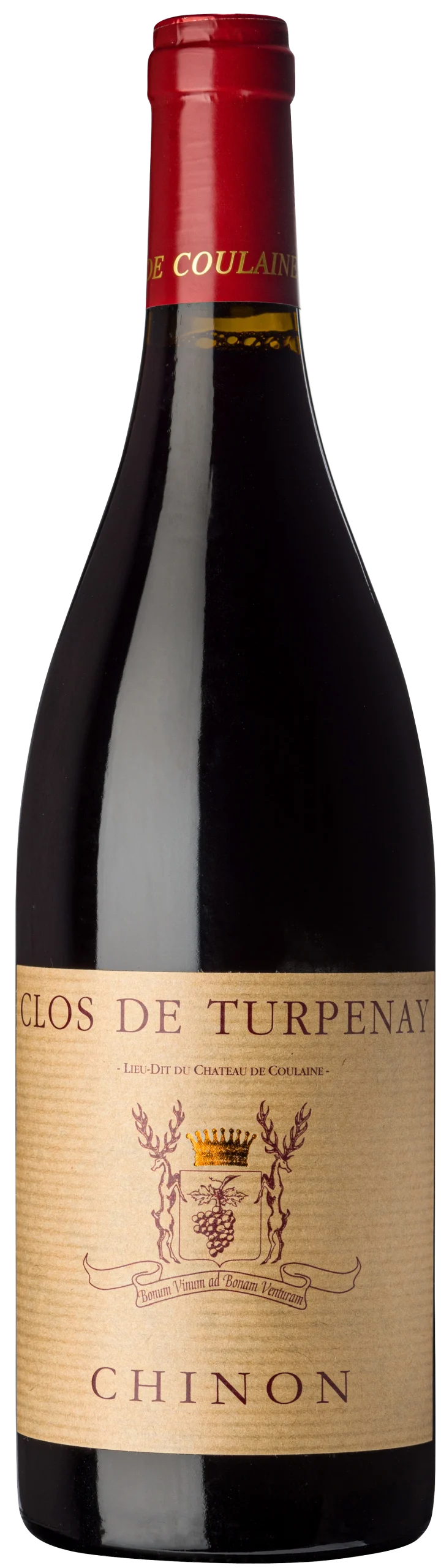 Château de Coulaine - Chinon Clos de Turpenay 2020