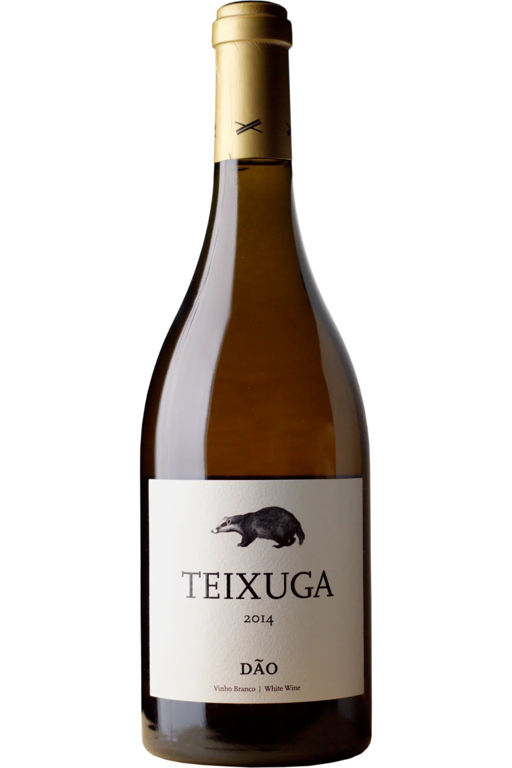 Caminos Cruzados Teixuga Blanco 2014 - Caminhos Cruzado