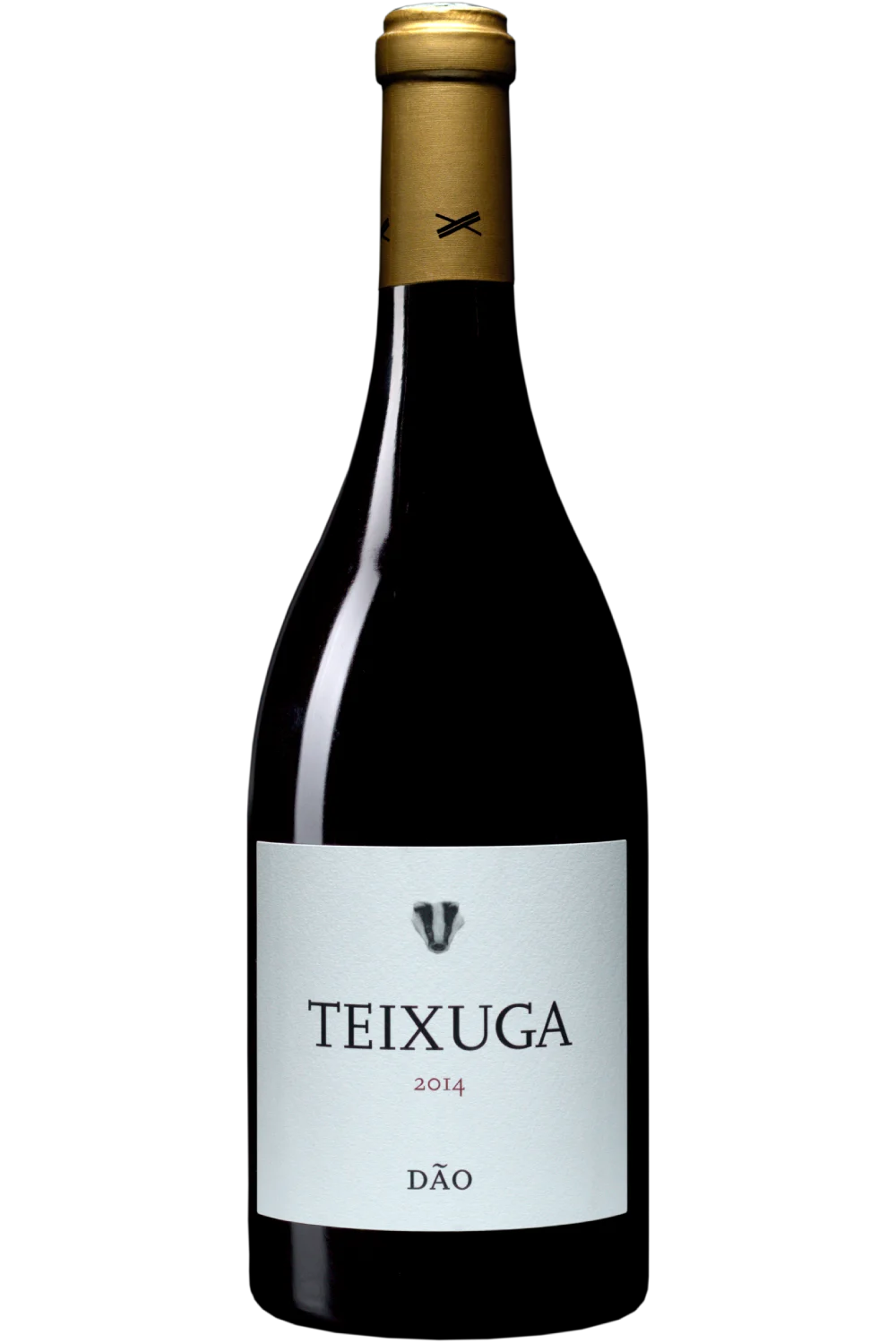 Caminos Cruzados Teixuga Roja 2014 - Caminhos Cruzado