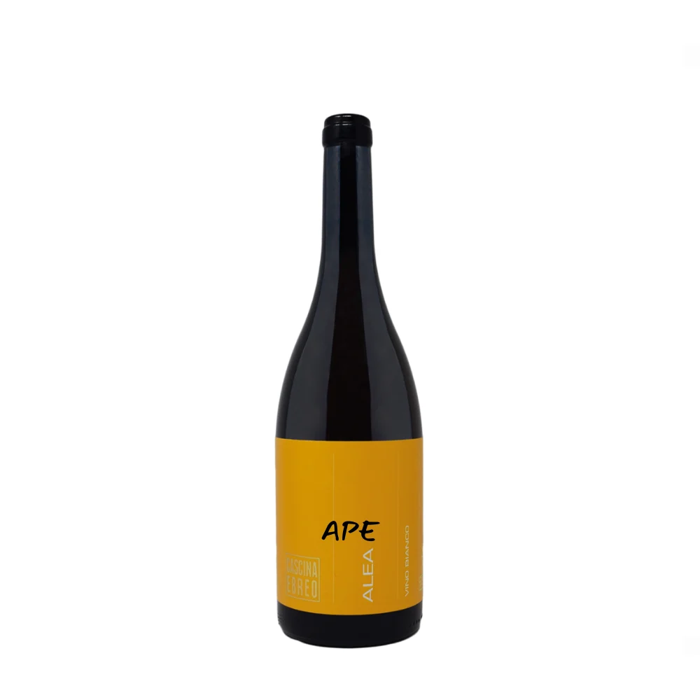 Alea 2021 Cascina Ebreo - Selecciones