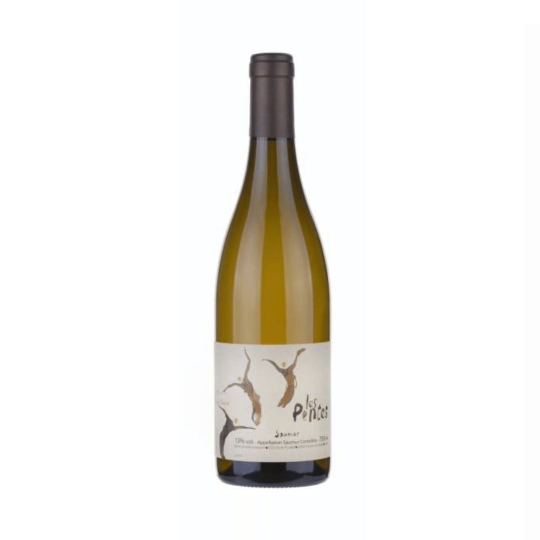 Michel Chevrè Saumur Les Pentes du Clos 2015 - Selecciones