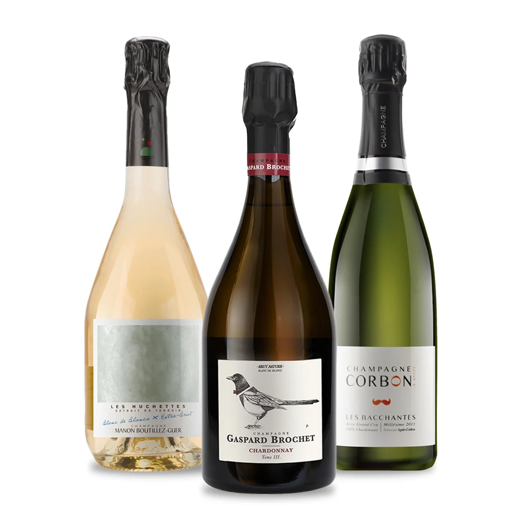 Colección Chardonnay 2024