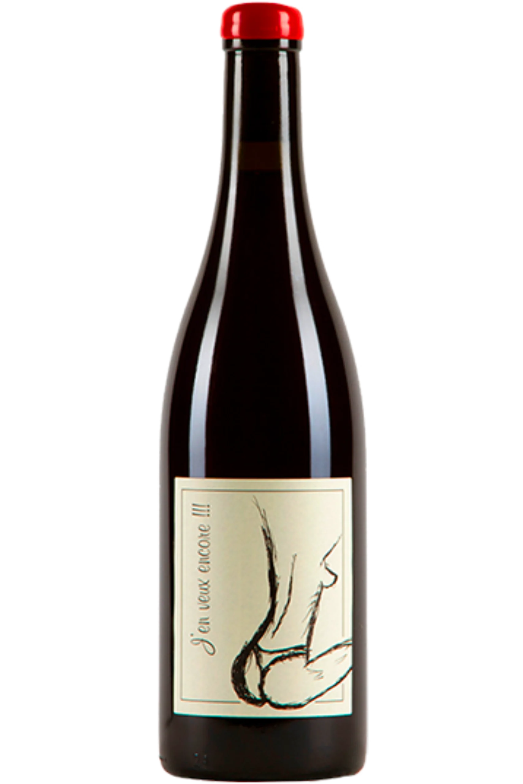Domaine Anne et Jean-François Ganevat - Vin de France J'en veux encore 2023