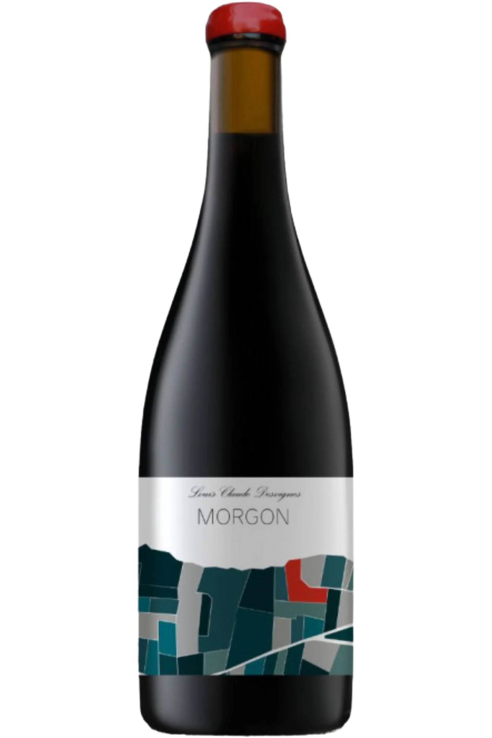 Domaine Louis Claude Desvignes - Morgon Montpelain 2022
