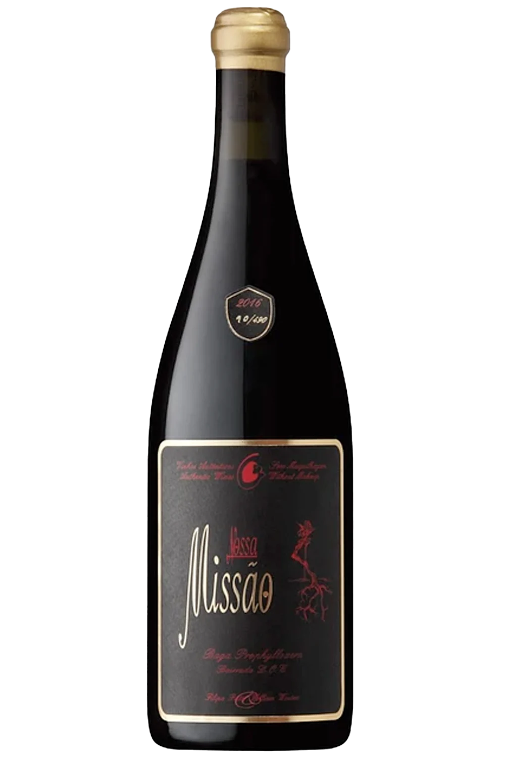 Filipa Pato Missão Rouge 2019