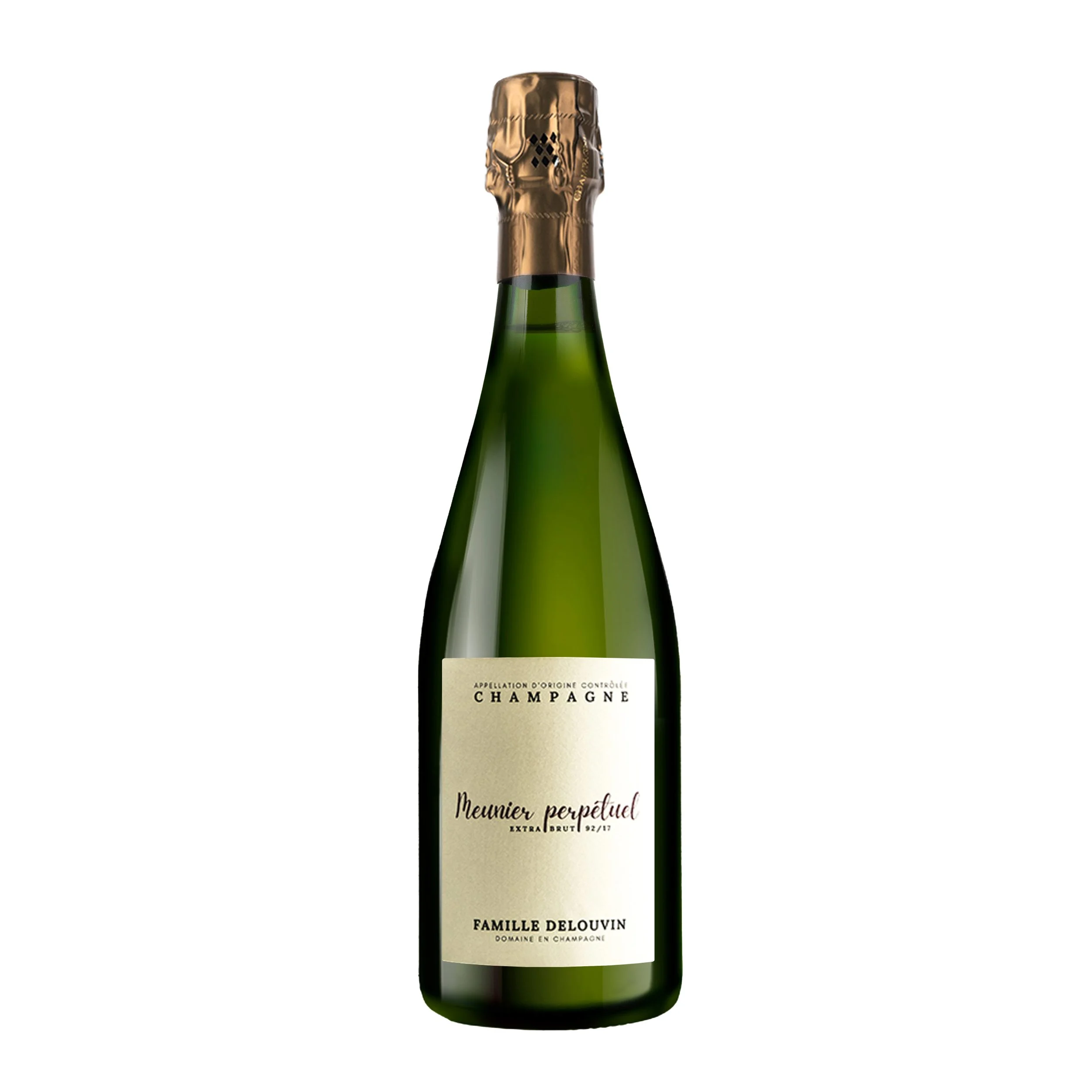Famille Delouvin Meunier Perpetuel Extra Brut - Champagne
