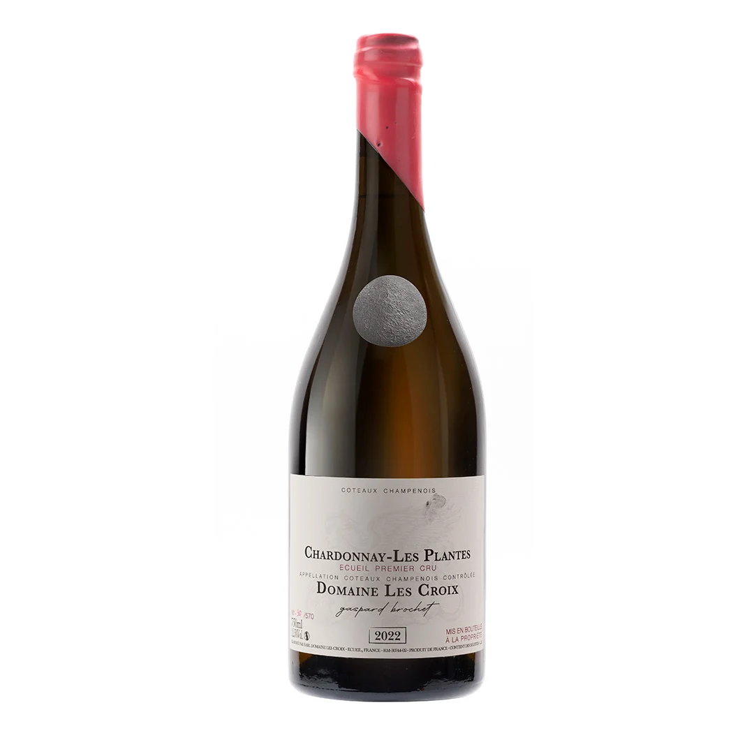 Gaspard Brochet Chardonnay Les Plantes Extra Brut - Montagne de Reims