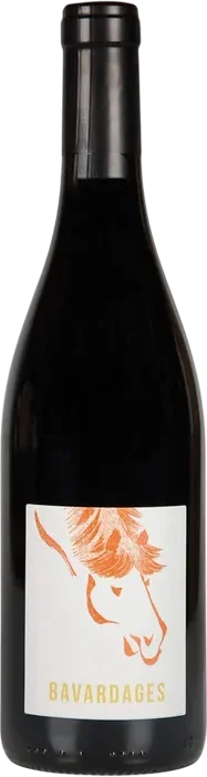 Domaine Jeanne Germain - Saumur-Champigny Bavardages 2022