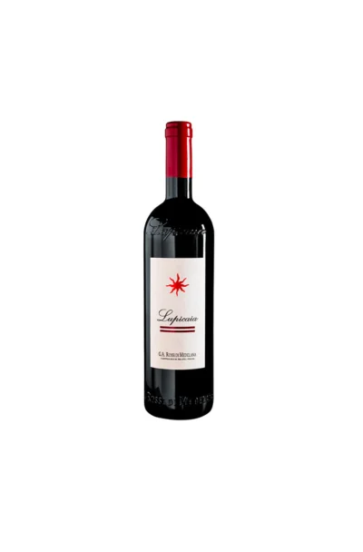 Lupicaia 2001 Castello del Terriccio - Selecciones