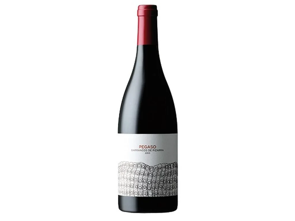 Pegaso Pizarra 2005 Magnum - TELMO RODRIGUEZ