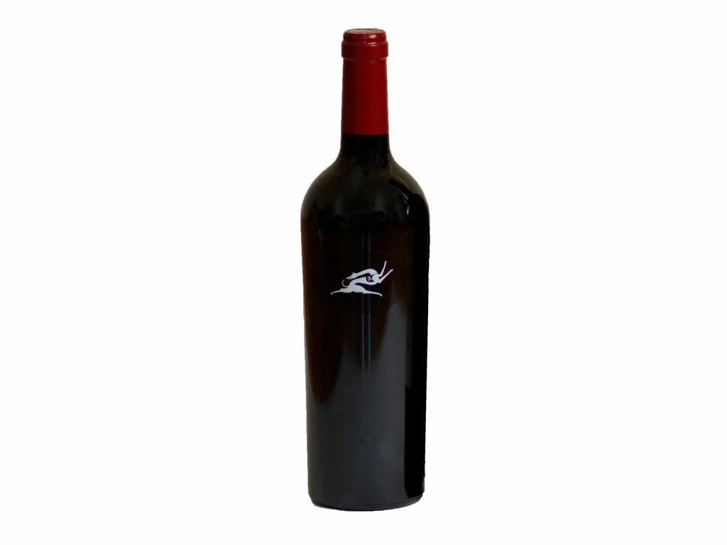 Galia 2014 - EL REGAJAL