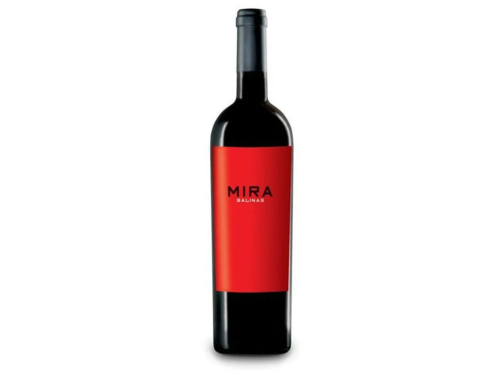 Mira 2008 - SIERRA SALINAS