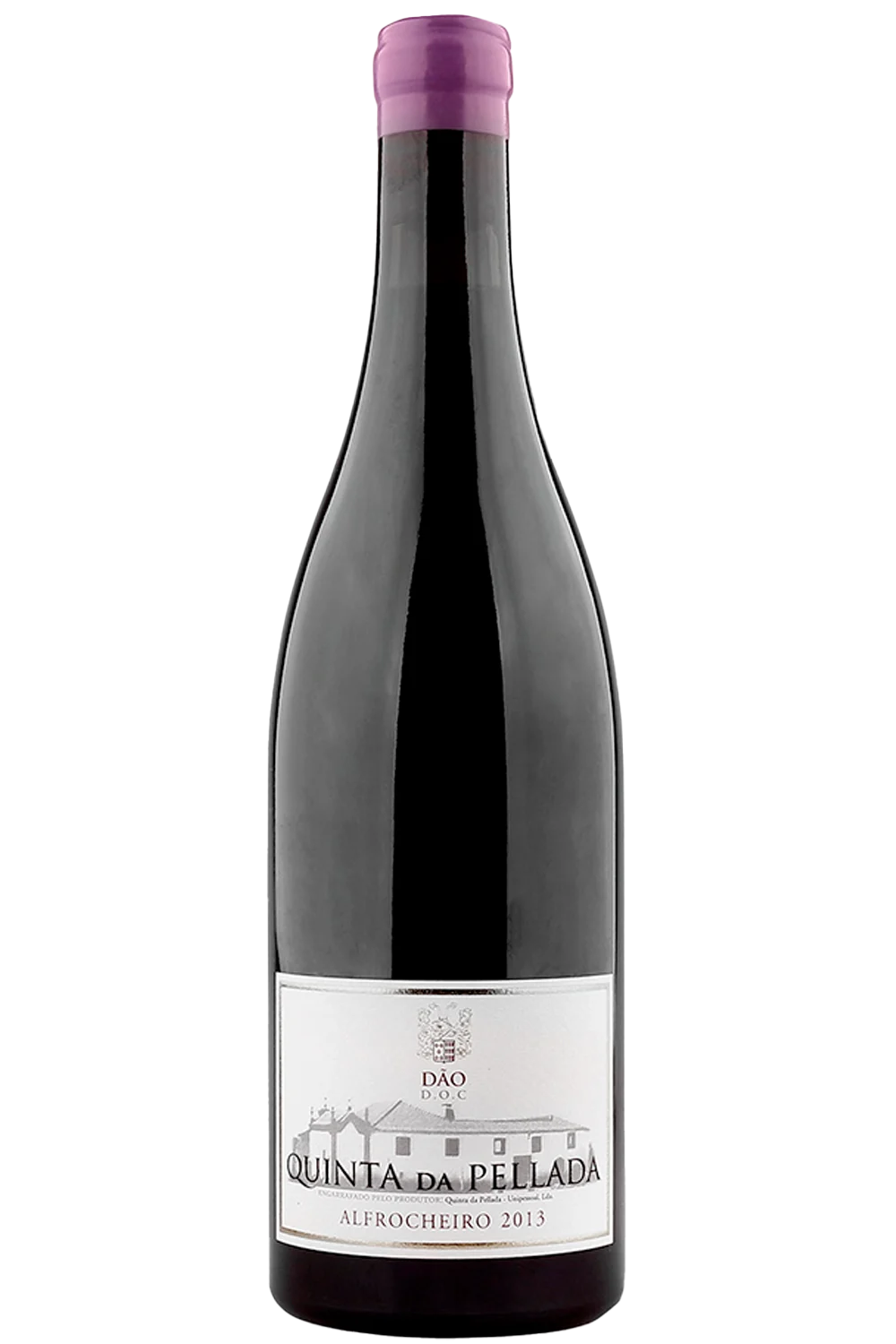 Quinta da Pellada Alfrocheiro Roja 2016 - Qunta da Pellada