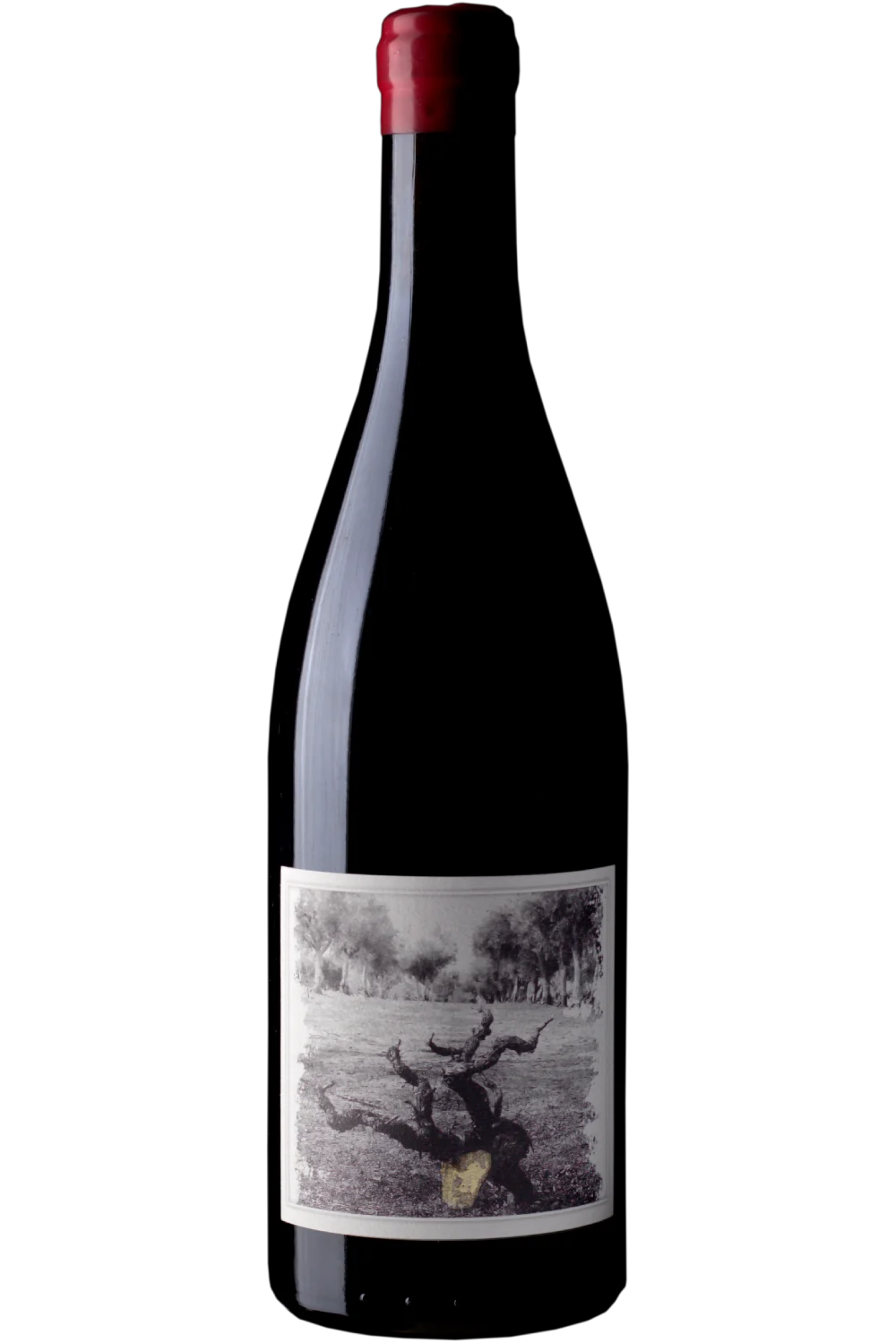 Quinta da Pellada Muleta Roja 2019