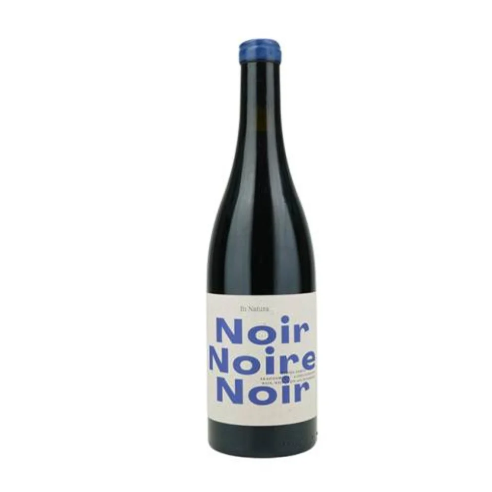 Pinot Noir Noire Noir 2024 Weingut Schodl - Selecciones