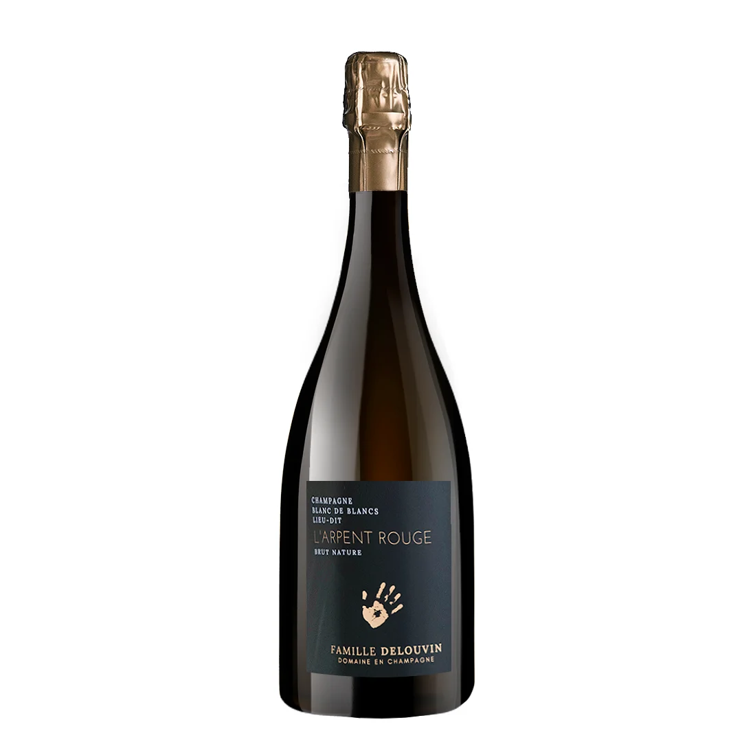 Famille Delouvin L’Arpent Rouge 2017 - Brut Nature