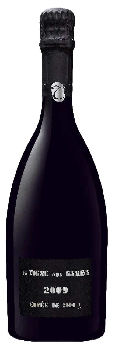 Champagne Thiénot - Champagne Brut Grand Cru La Vigne aux Gamins 2009