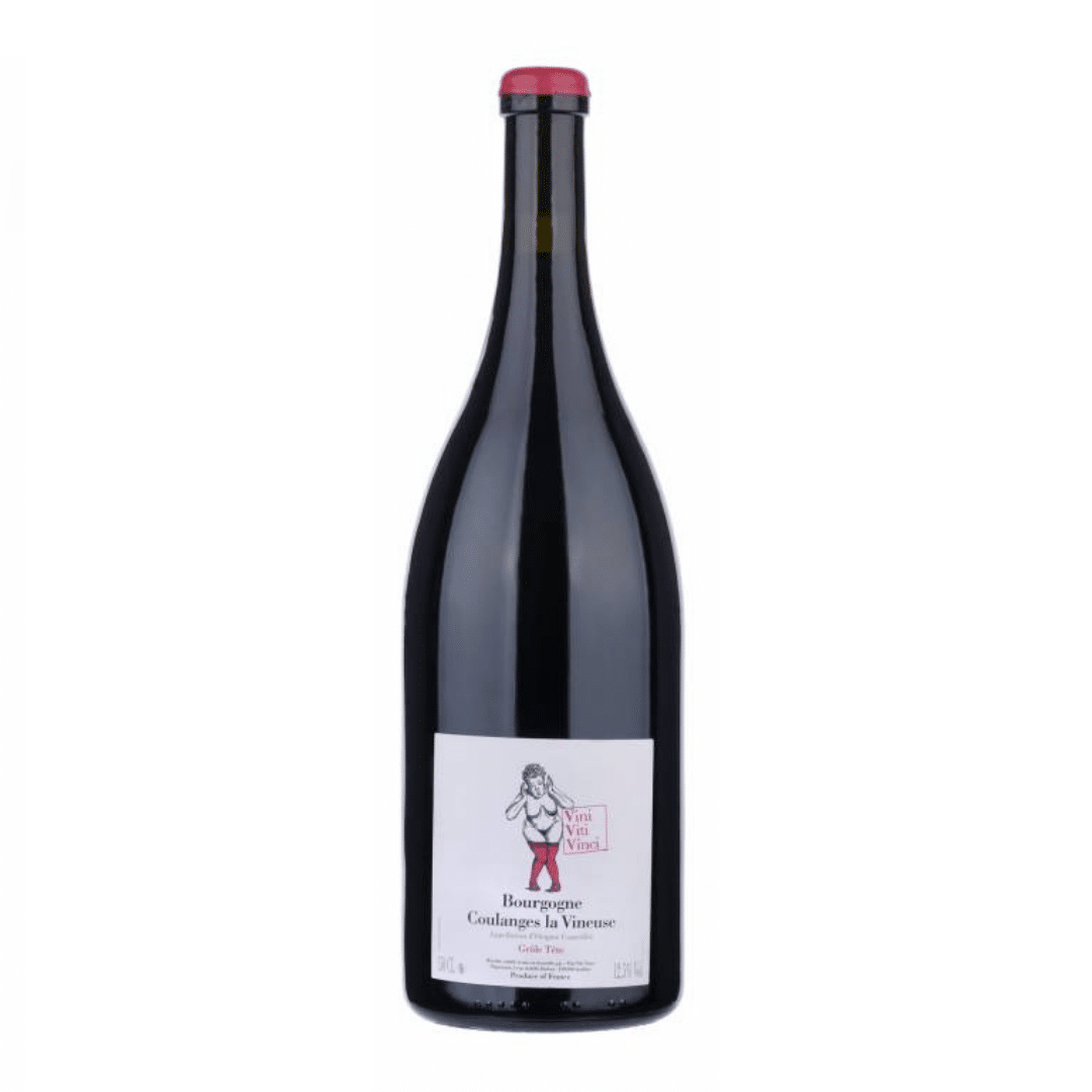 Vini Viti Vinci Grole Tete Bourgogne Coulange La Vineuse 2016 - Selecciones