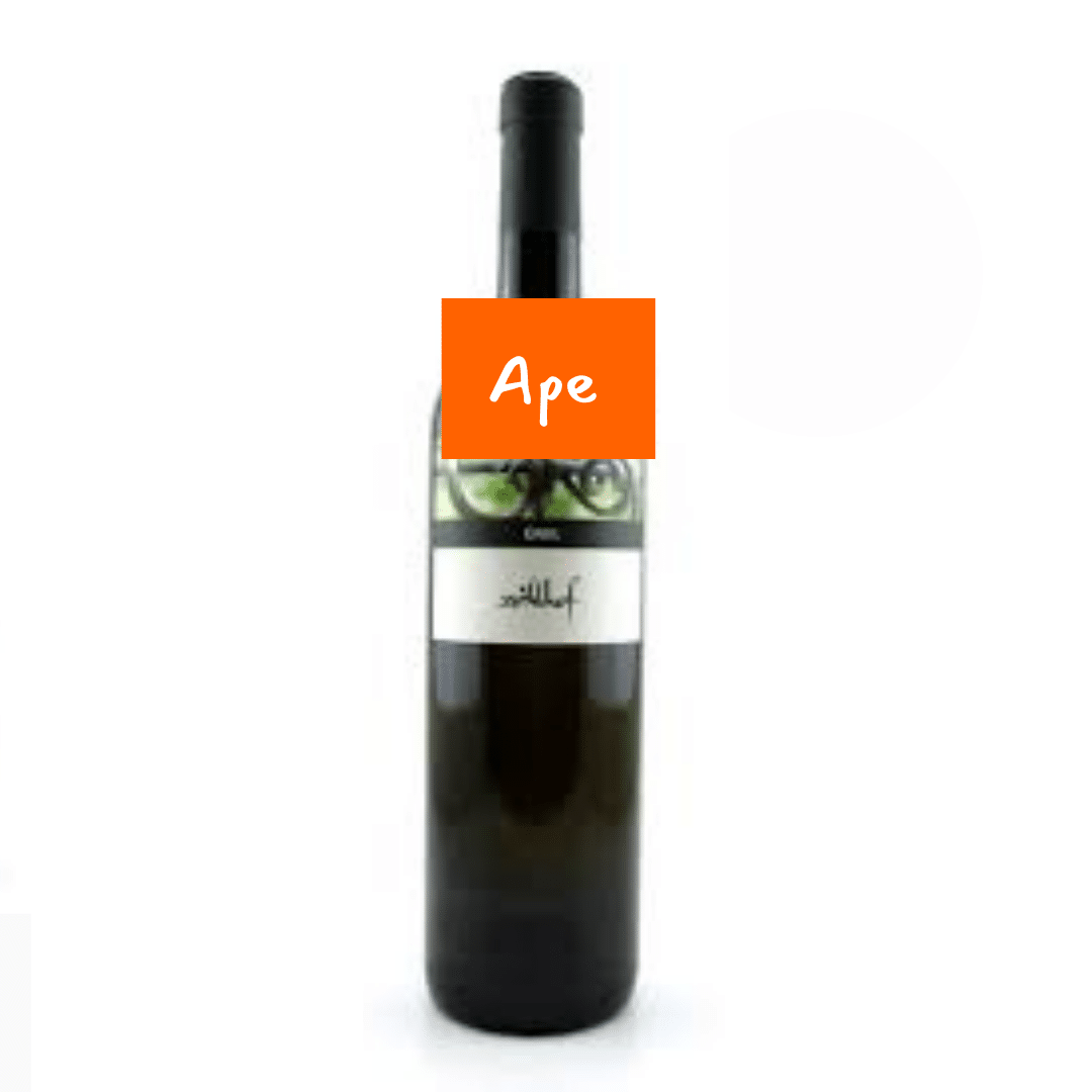 Zöhlhof Sylvaner Greil 2019 - Selecciones