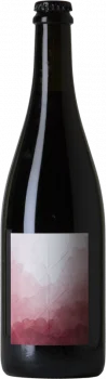 Anaïs Fanti Pampa Rosa 2024 - Bodega Anaïs Fanti