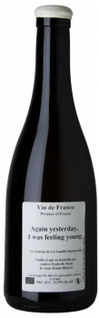Anders Frederik Steen Again Yesterday I Was Feeling Young - 50 cl.