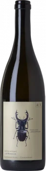 Andreas Tscheppe Hirschkäfer 2020 - Bodega Andreas Tscheppe