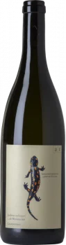 Andreas Tscheppe Salamander 2020 - Bodega Andreas Tscheppe