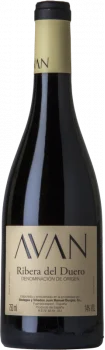 Avan Tinto 2023 - Bodega Bodegas y Viñedos Juan Manuel Burgos