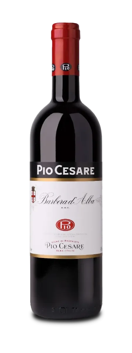 Pio Cesare - Barbera dAlba 2020