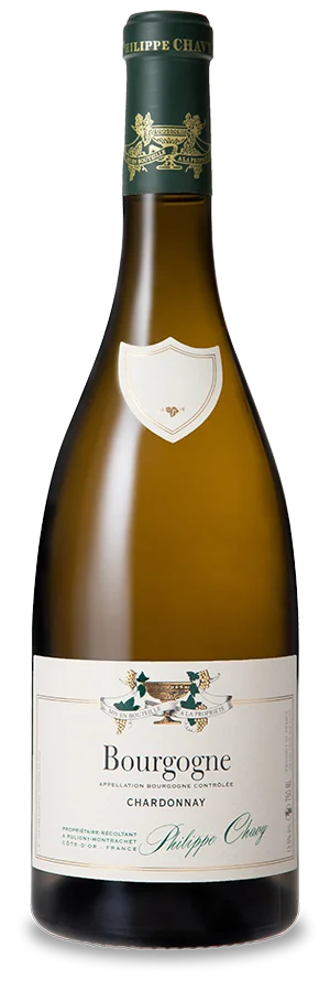 Domaine Philippe Chavy - Bourgogne Blanc 2018