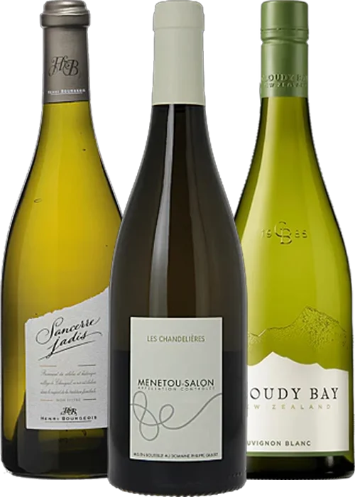 Caisse découverte - Sauvignon Blanc
