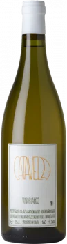 Catavela 2024 - Bodega Denavolo