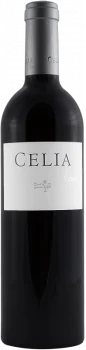 Celia Vizcarra 2022 Magnum - Bodega Bodegas Vizcarra