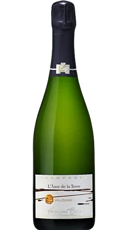 Champagne Françoise Bedel - L'Ame de la Terre 2010 - Champagne Millésimé