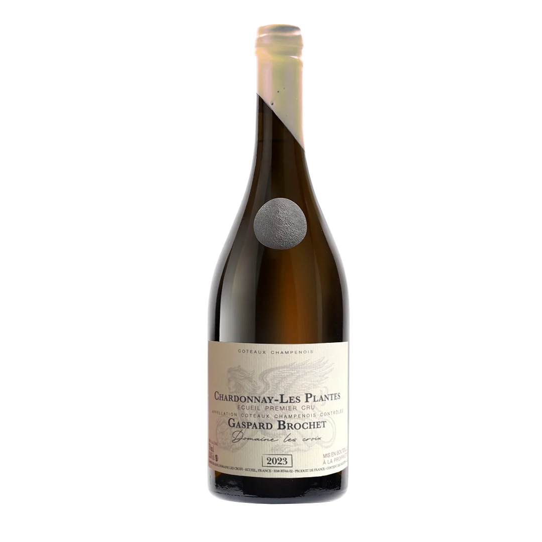 Gaspard Brochet Coteaux Les Plantes 2023 - Montagne de Reims