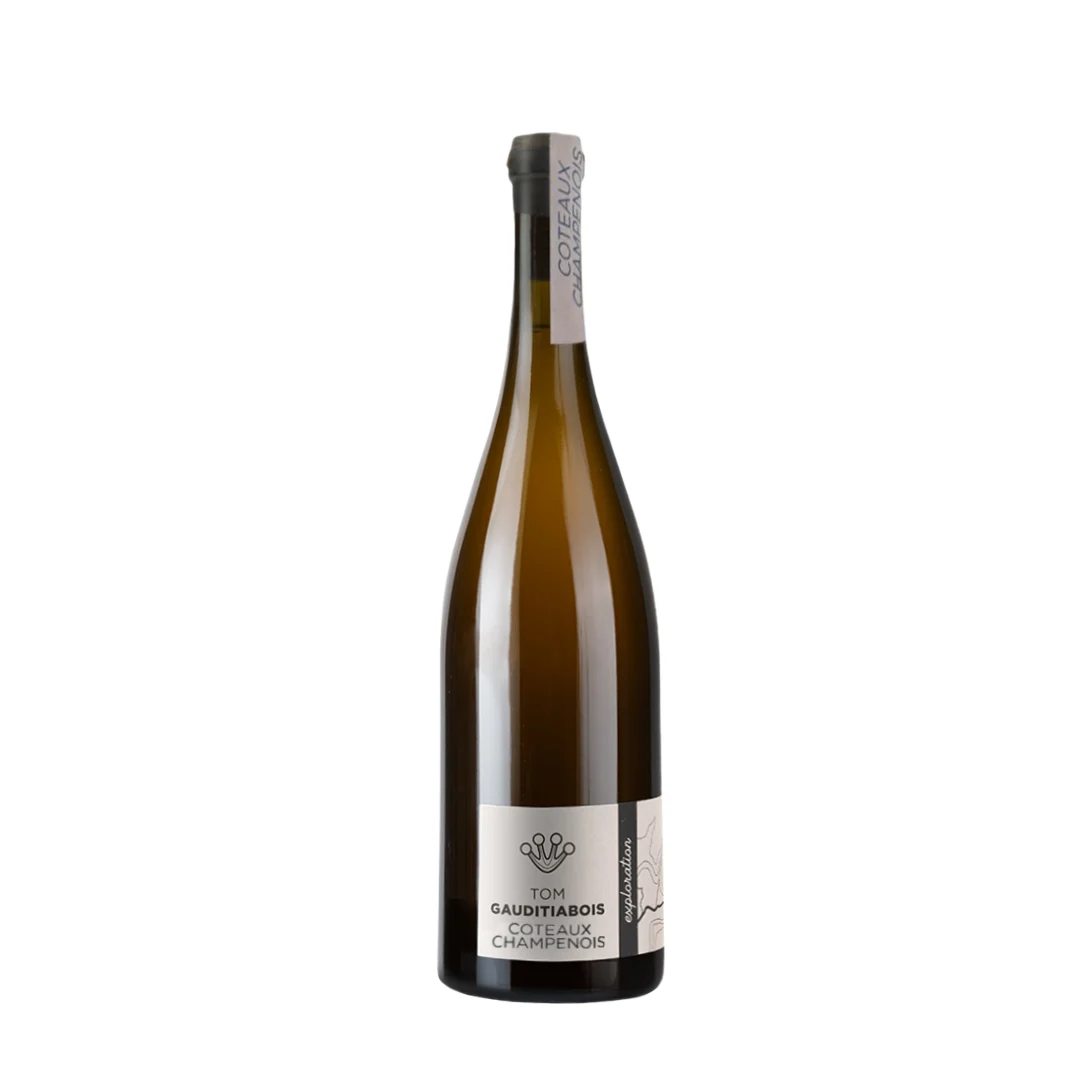 Tom Gauditiabois Coteaux Champenois E11 Les Survivants