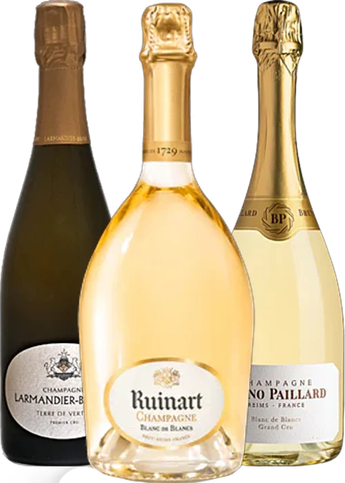Sélection Champagne Blanc de Blancs - Cavissima