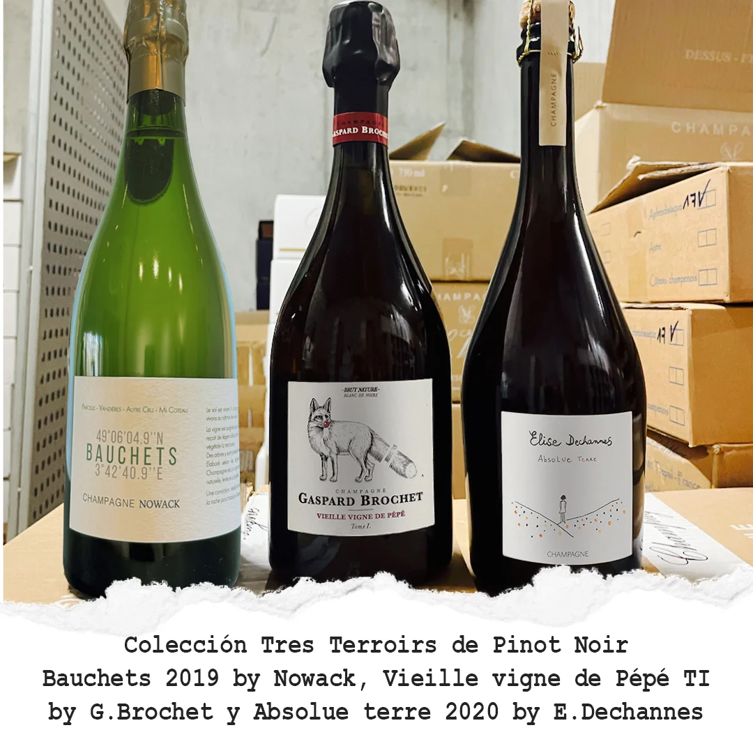 Colección Tres Terroirs de Pinot Noir - Inauditas
