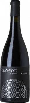 Cosmic Gratitud Cabernet Franc 2024 - Bodega Cosmic