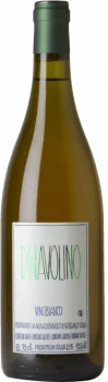 Dinavolino 2022 - Bodega Denavolo