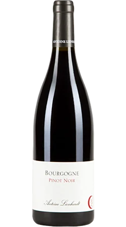 Domaine Antoine Lienhardt - Pinot noir 2021 - Bourgogne