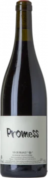 Domaine Sauveterre Promess 2020 - Bodega Domaine Sauveterre