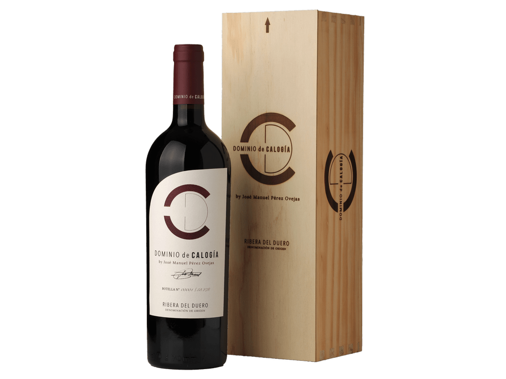 Dominio de Calogía 2022 Magnum - DOMINIO DE CALOGIA