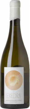 Exedra Blanc 2024 - Bodega Bodegas Puiggròs