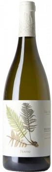 Fento Blanco 2021 - Bodega Fento Wines